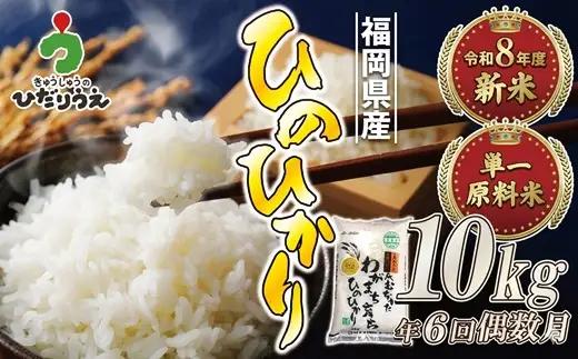 【米定期便】【年6回偶数月】【2027年2月発送開始】JAよりお届け！「ひのひかり」10kg（5kg×2袋）×6回 計60kg[H5102]