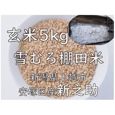 ふるさと納税 上越市 雪むろ棚田米新之助 5kg 玄米
