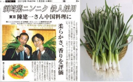 葉にんにくぬた2種  (ジェノベーゼ 風・かつお に合う)  食べ比べセット