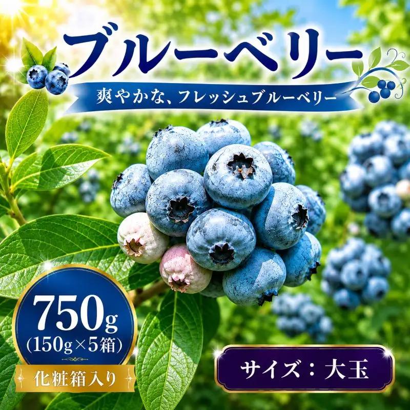 【7月以降発送】完熟 ブルーベリー 大玉 750g (150ｇ×5) 北田りんご園 kitada003