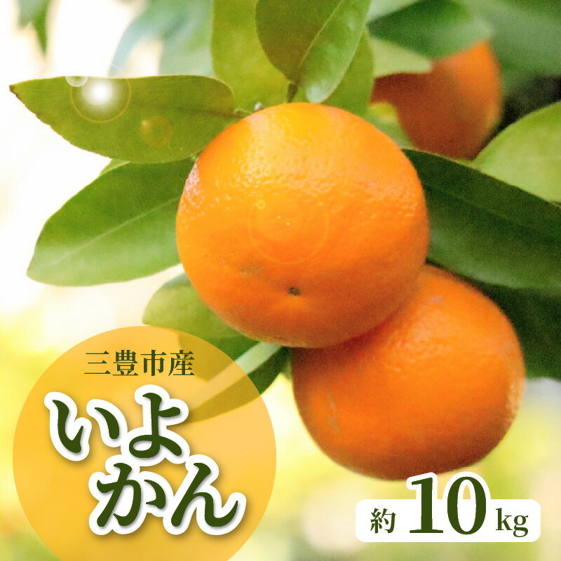 【ふるさと納税】【配送不可地域：北海道・沖縄県・離島】みかん いよかん 約 10kg 30玉〜50玉 入り 強い甘み ほどよい酸味 果肉はやわらかく とてもジューシー 香りを豊かに感じる事ができる 爽やかな柑橘の香り 香川県 三豊市産 フルーツ お取り寄せ 送料無料 五色青果