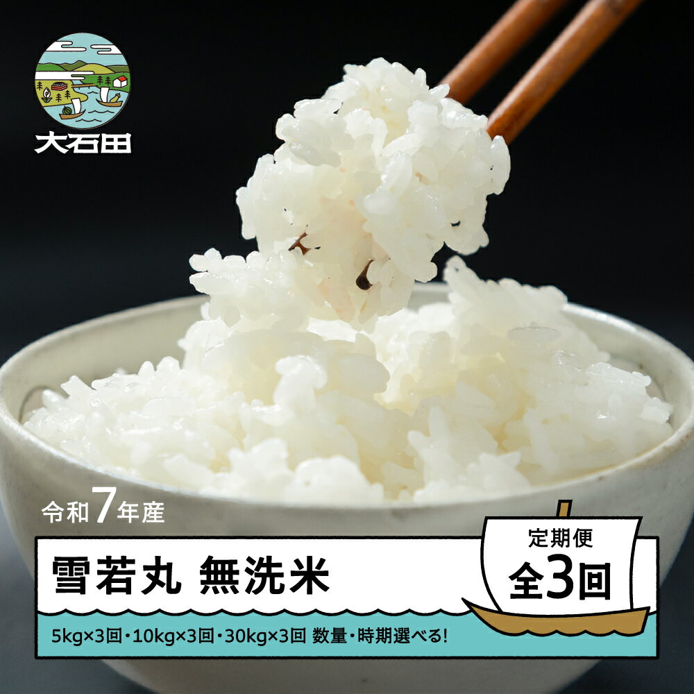 【ふるさと納税】 米 令和7年産 雪若丸 無洗米 3回 定期便 山形県産 ※沖縄・離島配送不可 ap-yumxa0x3-t