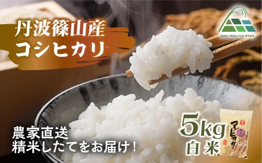 【2025年産 2025年9月以降順次発送】丹波篠山産コシヒカリ 白米 5kg 兵庫県 丹波篠山市 白米 100％単一原料米 産地直送米 贈答 おいしい お米 精米 コシヒカリ ブランド おこめ 健康 ギフト 内祝い 贈り物 送料無料 おすすめ 人気 口コミ