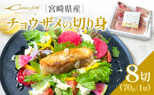 チョウザメの切り身70g×8パックセット 魚介 真空パック カット済み 国産 切身 宮崎県【B687】