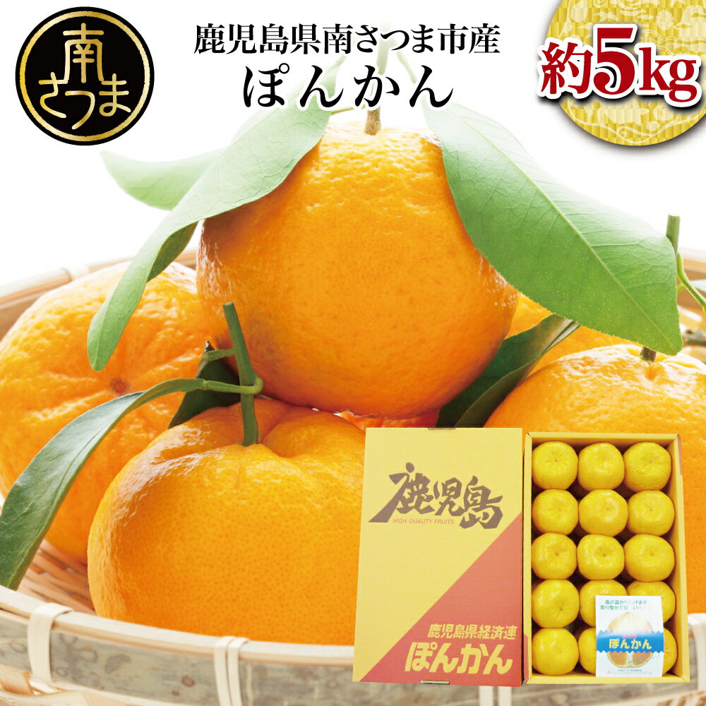 【ふるさと納税】［先行予約：12月以降発送］鹿児島県産ぽんかん 約5kg ≪ 数量限定≫先行受付 みかん 柑橘 フルーツ くだもの 果物 果実 甘味 ジューシー 旬 品種 常温 南さつま市 国産 国内産 JA南さつま 送料無料