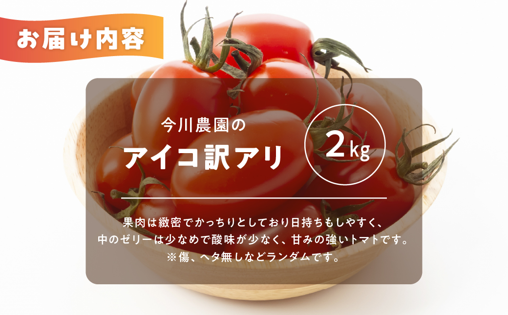 【ふるさと納税】【先行予約】今川農園のミニトマト 訳ありアイコ 2kg 先行予約受付 期間限定 季節限定 野菜 国産 完熟 やさい フルーツ トマト 完熟 千果 ミニトマト イエロー プチトマト イエ