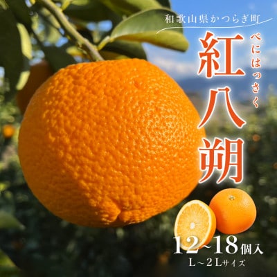 先行予約!紅はっさく 約5kg/12～18個入り(L～2Lサイズ)こだわり農家厳選!【1596951】