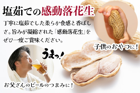 【先行予約・2025年9月下旬より順次発送】国産 塩茹で落花生 300 g × 1 パック 