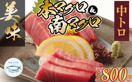 厳選天然本まぐろ・天然南まぐろ中トロ２柵 食べ比べ 合計800ｇ マグロ マグロ マグロ
