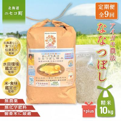 ふるさと納税 ニセコ町 《令和8年産米》【9回定期便】ななつぼし【胚芽米仕様精米】10kg(1kg×10袋)【31078】