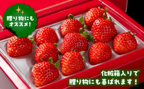 【先行予約】【農家直送】【化粧箱入り】白石産いちご「さがほのか」400g【岸川農園】イチゴ [IAP003]
