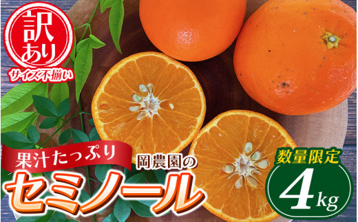 【先行予約】訳あり品 サイズ混合 ご家庭用 岡農園のセミノール 約4kg【2027年3月下旬から4月下旬までに順次発送予定】 / セミノール わけあり 訳あり 家庭用 みかん 蜜柑 数量限定 ミカン