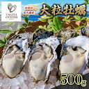 【ふるさと納税】【2025年1月より順次発送】浜名湖産かき大粒むき身500g（加熱用）先行予約 牡蠣 海鮮 魚介 国産 浜名湖産 貝付き 生牡蠣 焼き牡蠣 蒸し牡蠣 冷蔵 産地直送　お届け：2025年1月中旬～2025年3月中旬まで