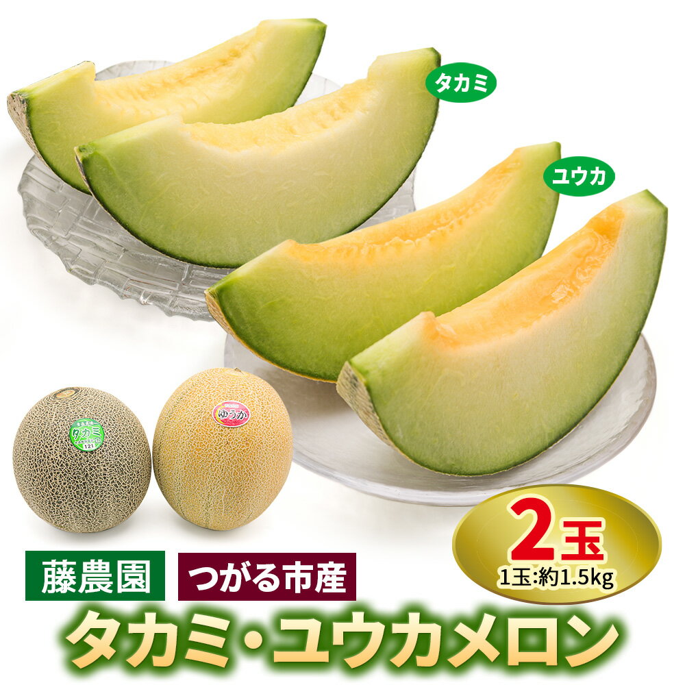 【ふるさと納税】メロン [タカミ] [ユウカ] 2玉セット｜つがる市産 青森産 産直 2026年産 令和8年 夏 めろん 果物 フルーツ 旬 特産 藤農園 農福連携 先行受付 [0837]