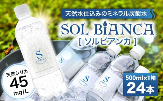 【単品】シリカ炭酸水 ソルビアンカ 500ml×24本 炭酸水 たんさんすい 水 飲料水 みず シリカ 定期便 単品 日田市 / 株式会社OTOGINO [AREF097]