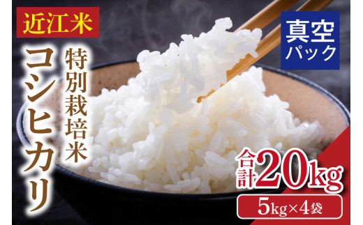 令和8年度産 先行予約  近江米『コシヒカリ』　特別栽培米　20キロ（5キロ×4袋　真空梱包） DT-0006