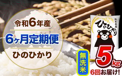 【6ヶ月定期便】令和6年産  定期便 無洗米 ひのひかり 5kg 《申込み翌月から発送》令和6年産 熊本県産 ふるさと納税 精米 ひの 米 こめ ふるさとのうぜい ヒノヒカリ コメ 熊本米 ひのもり