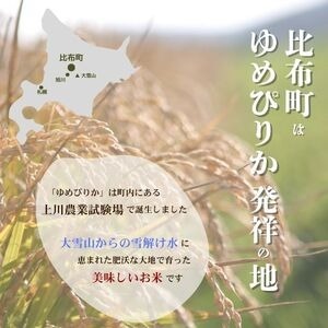 2025年産 先行受付【農業生産法人ノウリエ】北海道産 ゆめぴりか 精米 10kg【11月から12月上旬発送】米 お米 北海道米 特Aランク 国産 白米 コメ 北海道 比布町 ぴっぷ