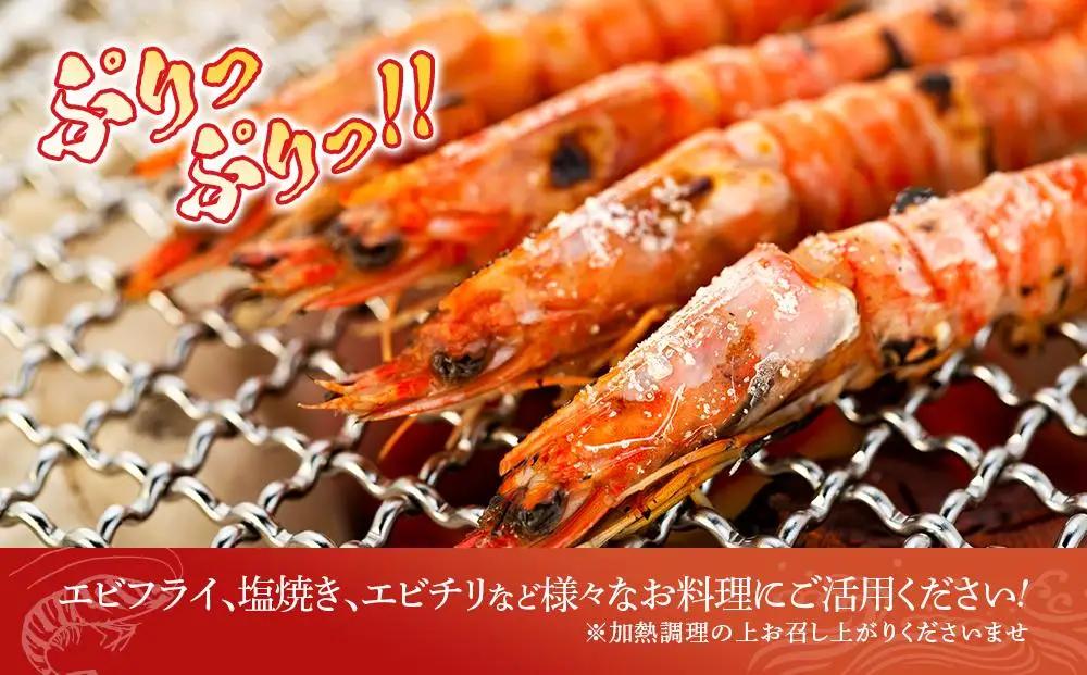 鹿児島県産 活き〆冷凍 車海老（養殖）Mサイズ300g（17～20尾）1パック セット【 エビ】
