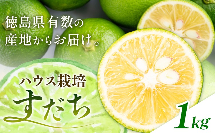 佐那河内名産 ハウス栽培 すだち 1kg ハウスすだち スダチ 一般財団法人さなごうち《6月中旬-9月上旬頃出荷》徳島県 佐那河内村 送料無料 スダチ ハウス 魚 豆腐 冷奴 焼き魚 天ぷら 刺身 徳島県産---sanagouchi_hss_1_1kg---
