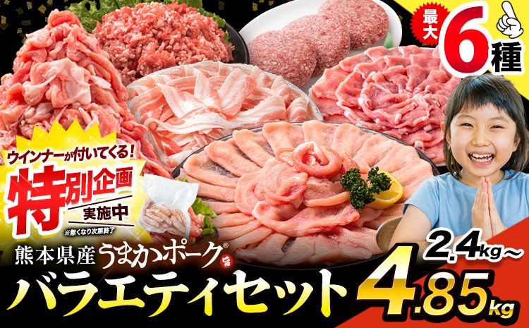 
                   豚肉 うまか ポーク バラエティ セット 2.4kg 4.85kg 豚肉 しゃぶしゃぶ 切り落とし 豚ロース バラ 豚バラ スライス 以上 定期便 真空 不揃い 数量限定 簡易包装 冷凍配送 小分け 《7-14営業日以内に出荷予定(土日祝除く)》 豚肉
                