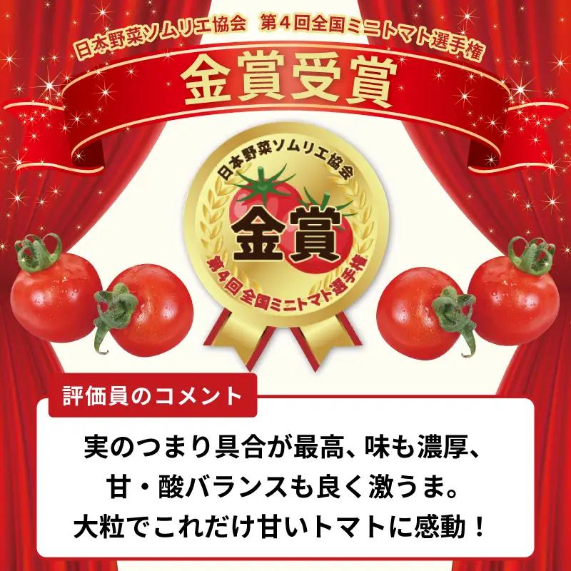 【先行予約】こだわり ミニトマト 4パック 合計 約1kg