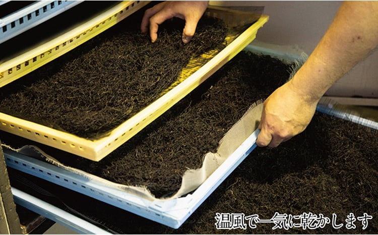 生炊きだからおいしい 瀬戸内 ひじき 28g×9袋 エビス水産【岡山 瀬戸内海 鉄釜炊 生炊 天然 乾燥】