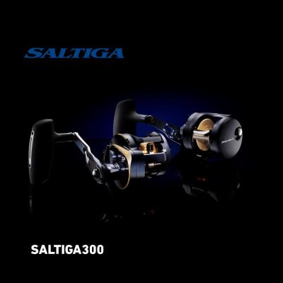 ふるさと納税 東久留米市 【釣具のダイワ】のスピニングリール 25ソルティガ 300HL |  | 02