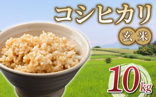 令和7年産 新米！有機肥料使用のコシヒカリ 玄米 10kg(5kg×2袋）一等米｜長野県東御市　※2025年10月下旬以降順次発送（月、火、金曜日発送限定。発送日、発送曜日指定不可）