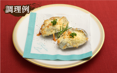 【全12回定期便】【活きたままお届け！】上五島産 養殖 ひとくち アワビ 活 厳選 300g 刺身 ステーキ 生【豊建設株式会社】[RAE017]