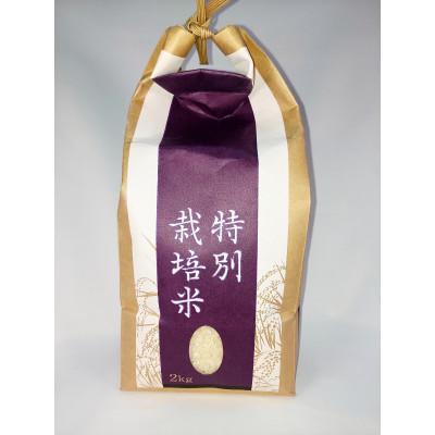 ふるさと納税 花巻市 【毎月定期便】銀河のしずく厳選プレミアム(栽培期間中農薬・化学肥料削減)2kg タカハシ農園全3回