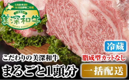 北海道 こだわりの美深和牛1頭分 成型脂カットなし（冷蔵） [№5894-0250]