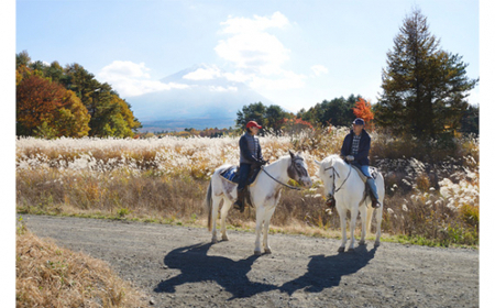【乗馬体験チケット】カントリーセット  NSA001