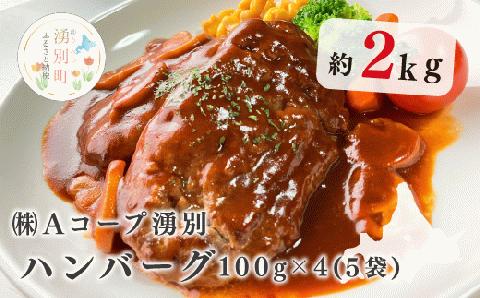 北海道産　ゆうべつ牛　ハンバーグ２０個（４個入り×５パック）