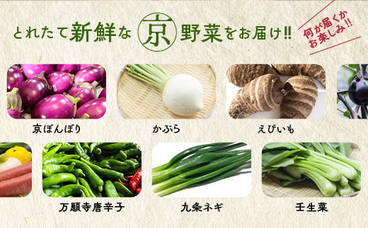 【3回定期便】旬の京野菜　毎月お届けスペシャルコース（全3回）《野菜定期便 野菜詰め合わせ 野菜セット 京野菜 旬の野菜 新鮮野菜 有機野菜 減農薬》