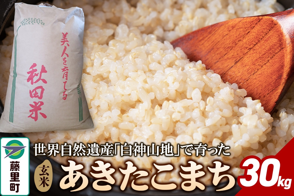 
                  米 令和8年産 あきたこまち【玄米】30kg [米 お米 こめ 玄米 あきたこまち ブランド米 ご飯 ごはん 米どころ 秋田県]
                