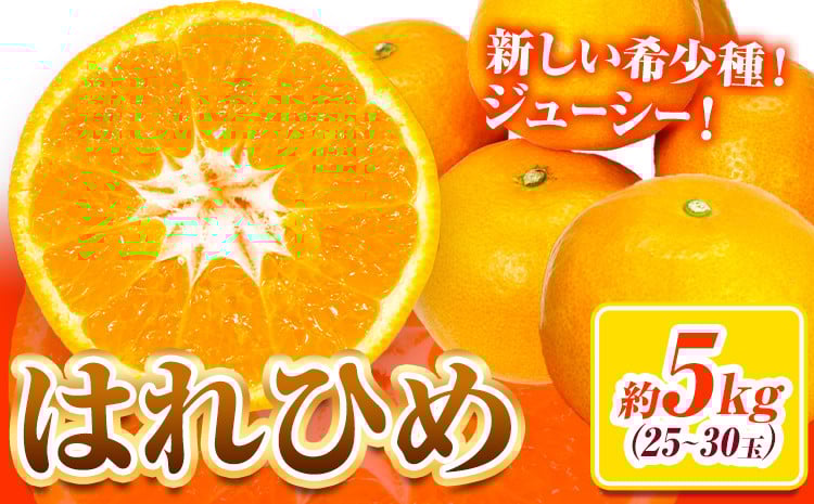 
                  【先行予約】みかん はれひめ 約 5kg 25玉 ～ 30玉 紀農人株式会社《2026年12月中旬1月末頃出荷》 和歌山県 日高川町 果物 フルーツ 柑橘 蜜柑 柑橘類 旬
                