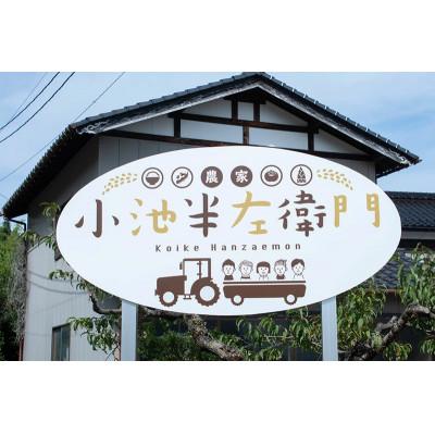 ふるさと納税 鶴岡市 【令和7年産】山形県庄内産 小池半左衛門のお米　はえぬき 無洗米 5kg×2袋 計10kg |  | 02