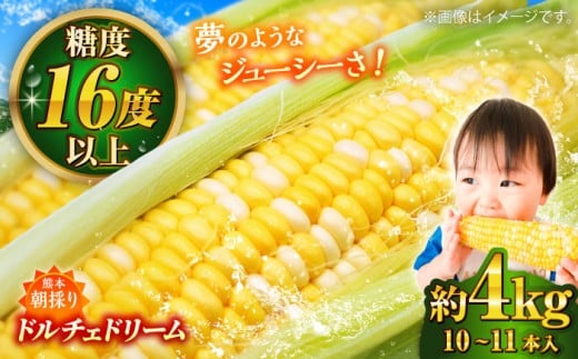 【先行予約】【2026年5月下旬より順次発送】スイートコーン(ドルチェドリーム)約4kg / トウモロコシ 甘い スイートコーン とうもろこし 高糖度 ドルチェドリーム【なかむら農園】 [BHCJ002]