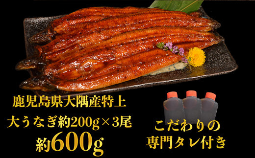 
特上うなぎ 約600g (約200g×3尾) タレ付き うなぎ 蒲焼 熊本県 水上村
