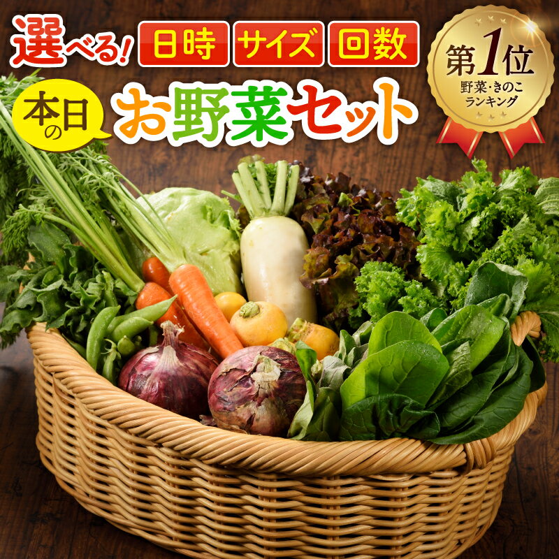 【ふるさと納税】〈選べる！日時＆サイズ＆お届け回数〉 本日のお野菜セット 宮崎県 7～8種 10種 12種 1回 2回 6回 12回 定期便 2ヵ月 6ヵ月 12ヵ月 詰め合わせ 新鮮 産地直送 おまかせ 季節の野菜 ボックス 農家直送 有機栽培 送料無料【オーガニックのまち 宮崎県綾町】