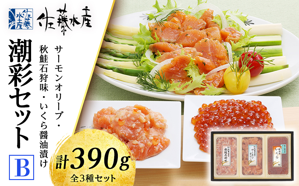 佐藤水産 潮彩セットB(サーモンオリーブ・石狩味・いくら醤油漬)