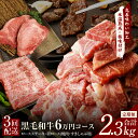 【ふるさと納税】黒毛和牛 定期便 全3回 ( ステーキ / すき焼き / しゃぶしゃぶ / 焼肉 ) 6万円コース ロースステーキ 肩ロース すきしゃぶ 丸善味わい加工 毎月配送コース 送料無料 氷温熟成牛 牛肉 熟成肉 氷温熟成 作り方 ふるさと納税オリジナル 限定 肉の泉佐野