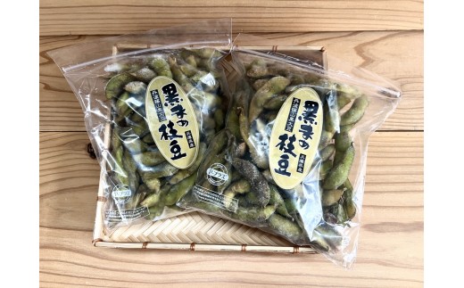 【冷凍なのでいつでも！】丹波篠山市産「丹波黒」枝豆　1ｋｇ（500g2袋） 兵庫県 丹波篠山市 プレミアム枝豆 期間限定 黒枝豆 えだまめ エダマメ お取り寄せグルメ 高級 特産品 名産品 おつまみ おうち居酒屋 冷凍配送 冷凍食品