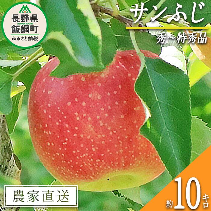 【ふるさと納税】 りんご サンふじ 秀 〜 特秀 10kg 永正の地蔵尊神谷農園 令和7年度収穫分 長野県 飯綱町 〔 信州 果物 フルーツ リンゴ 林檎 長野 27000円 予約 農家直送 〕発送時期：2025年12月上旬〜2026年2月上旬 {***}