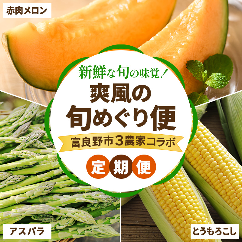 【2026年春～夏発送】[年3回定期便] 新鮮な旬の味覚 爽風の