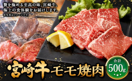 ＜宮崎牛 モモ焼肉 500g＞入金確認後、翌月末迄に順次出荷 牛肉 和牛 黒毛和牛 4等級以上 ブランド牛 肉 宮崎牛 モモ肉 モモ 焼肉 新生活応援 卒業祝い 就職祝い 入学 卒業 お花見 引越し