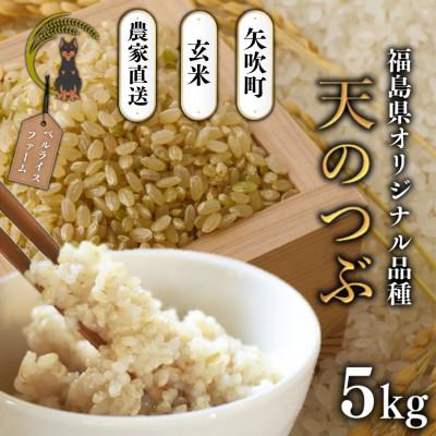 ふるさと納税 矢吹町 【令和7年産米先行受付】玄米 農家直送 ベルライスファームの天のつぶ 5kg