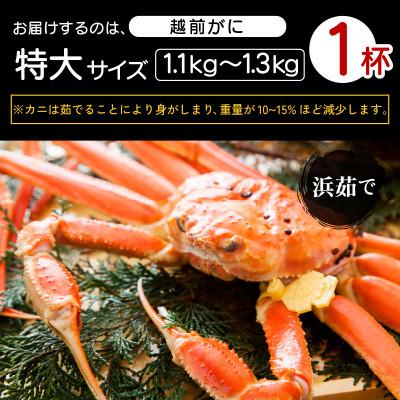 ふるさと納税 越前町 ≪浜茹で≫越前がに 特大サイズ × 1杯(1.1〜1.3kg)【11月発送分】 |  | 03