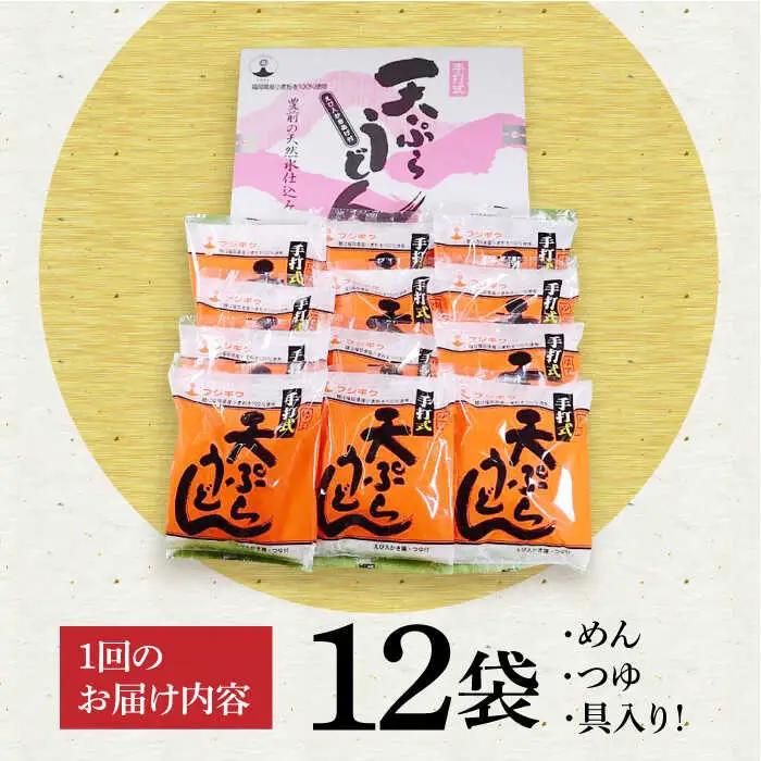 【全6回定期便】天ぷら うどん 12食[VAI056]うどん 天ぷらうどん 天ぷら 麺 麺類